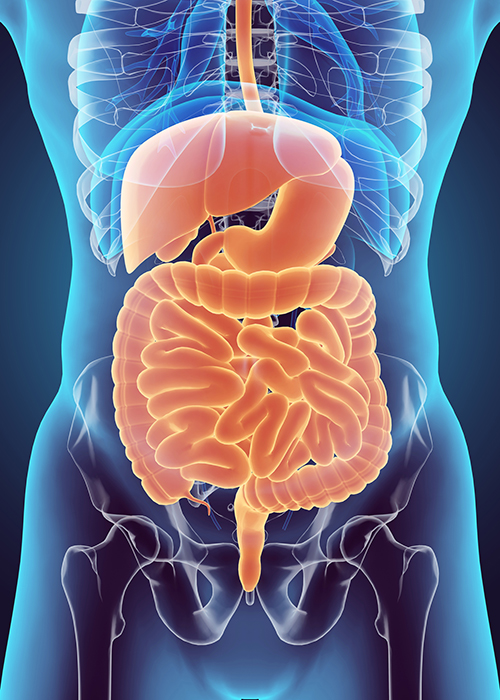 Essais cliniques sur le cancer gastrointestinal BMS Study Connect